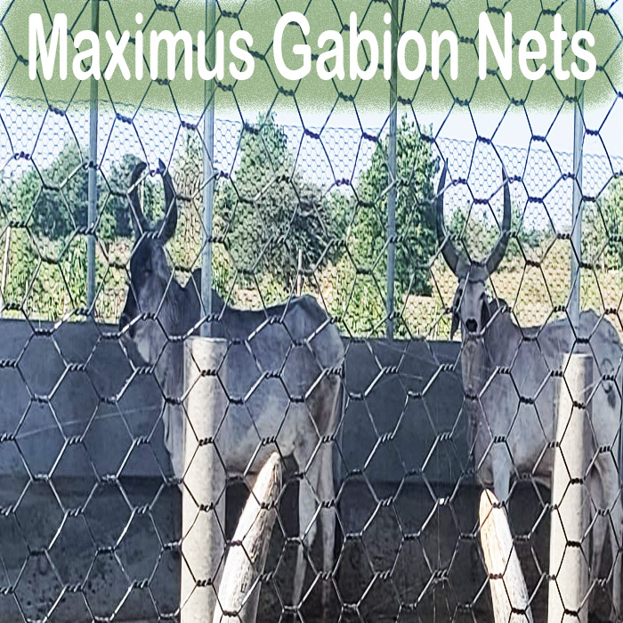 Maximus Gabion nets for  Animal Husbandary